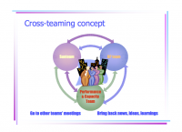Group communication proposal: cross-teaming